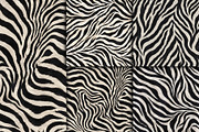 Realistic Black White Zebra Texture, a Pattern Graphic by Artonix (Thumbnail 4 of 4)