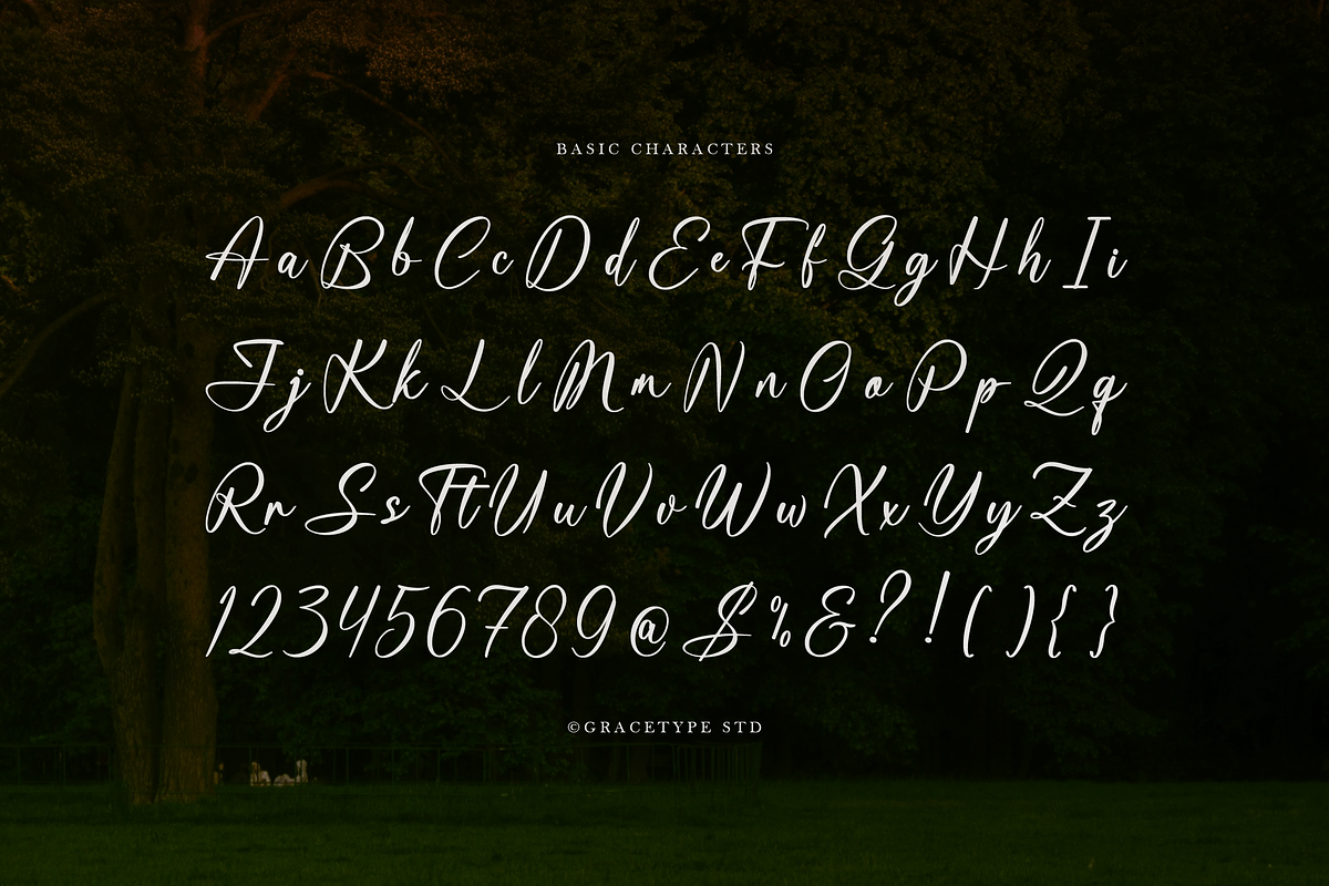 Kartaliaw Mimohasa Elegant Signature, a Script Font by gracetype_studio (Photo 10 of 12)