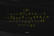 Casterio-Signature font, a Script Font by Panatype™ Studio (Thumbnail 6 of 9)