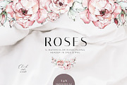 Watercolor Roses Clipart, an Illustration by WalaPalette (Thumbnail 4 of 11)