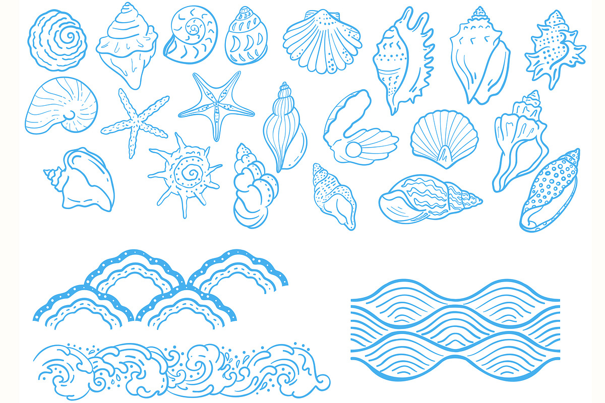 Seashells Lineart, a Seasonal Illustration by Carpet Tapete Pretzel (Photo 2 of 8)