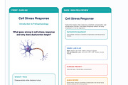Pathophysiology Flashcards Bundle, a Card Template by HeavensStar (Thumbnail 7 of 7)