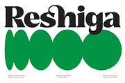 Reshiga - Serif Font, a Serif Font by limitype (Thumbnail 1 of 13)