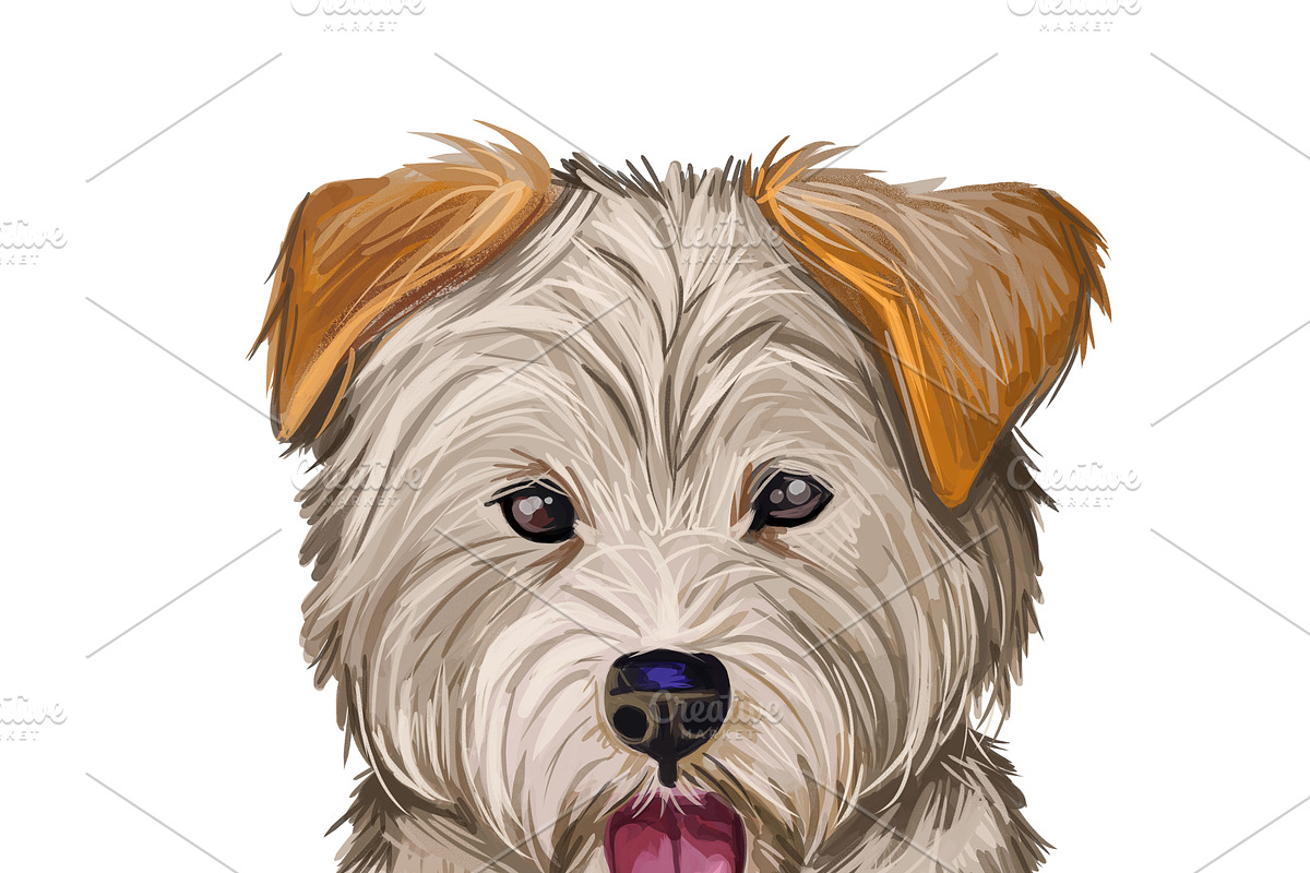 Poodle Cross Breeds 27 Dogs/Puppies, an Animal Illustration by Dneprstock (Photo 24 of 27)