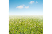 50 Fields background Set 01, a Texture Graphic by FWStudio (Thumbnail 9 of 13)