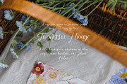 Tennessee Honey – Southern Clipart, a Decorative Illustration by Muse Artist (Thumbnail 3 of 20)