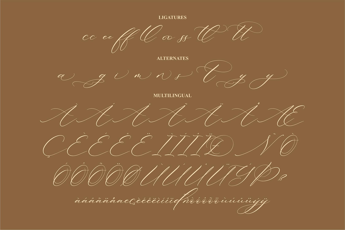 Patricia Rustine Luxury Script Font, a Script Font by Letterena Studios Script (Photo 14 of 15)