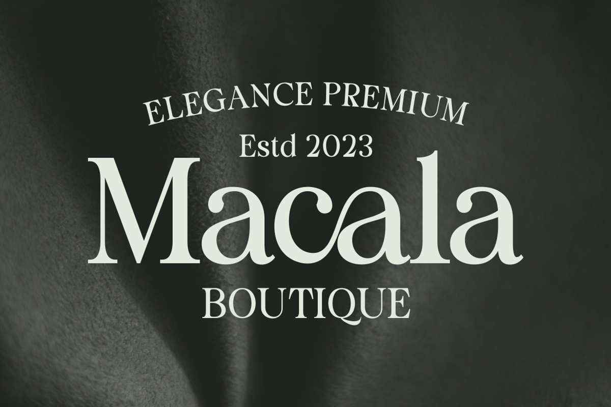 Staller - A Modern Beauty Font, a Serif Font by Marvadesign (Photo 3 of 7)