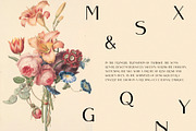 Qussro - Elegant Serif Font, a Serif Font by BOOSH Studio (Thumbnail 9 of 9)
