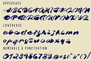 Women's Day Brush Font, a Script Font by 177Studio (Thumbnail 7 of 7)