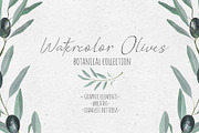 Watercolor Olives, an Illustration by Maria's little shop (Thumbnail 1 of 7)