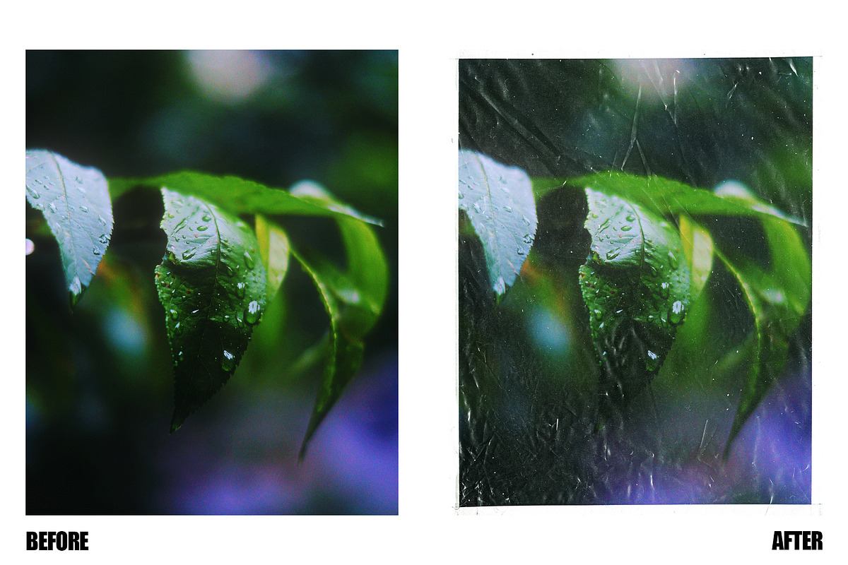 Instant Film Textures + Bonus Scans, a Graphic by coolranchcam (Photo 7 of 7)
