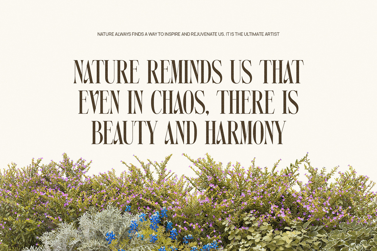 Sawome Elegant Serif Font Typeface, a Serif Font by Perfectype (Photo 6 of 7)