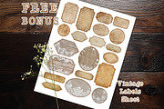 Ivory Floral Lace Scrapbook Paper, a Background Graphic by V Design Creator (Thumbnail 11 of 12)