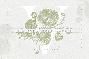 Vintage garden flowers
