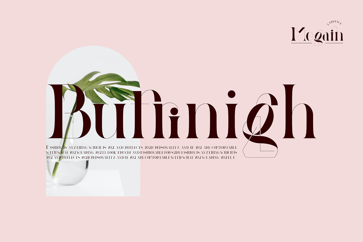 Megain Ligature Serif Typeface, a Serif Font by Humaira_std (Photo 9 of 14)