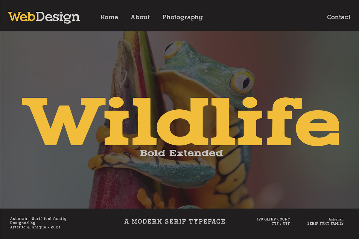 Asherah - Serif font family, a Serif Font by Artistic & Unique (Photo 9 of 13)
