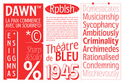 Republish Variable Font, a Serif Font by Abda Laka (Thumbnail 5 of 21)