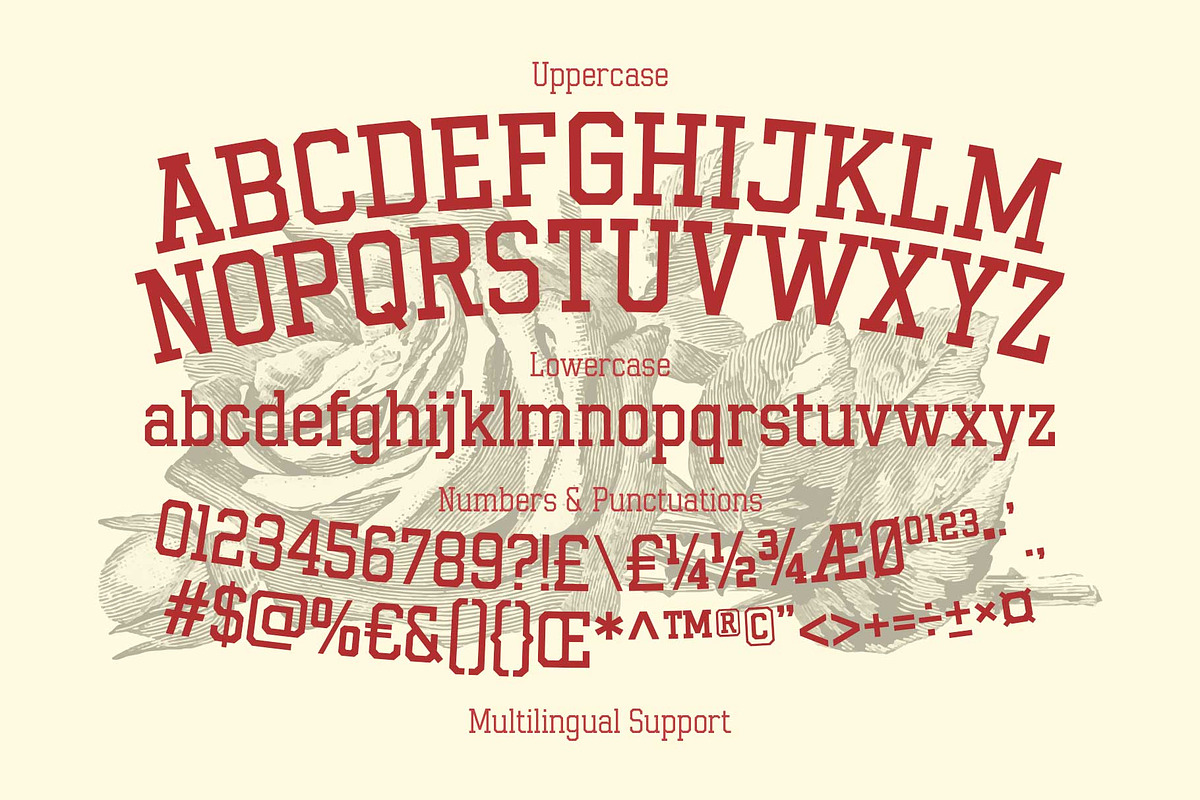 Gumbolt - Vintage Athletic Style, a Slab Serif Font by Arterfak Project (Photo 13 of 13)