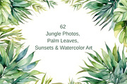 Luxury Tropical Nature, a Nature Photo by pictures for you (Thumbnail 6 of 19)
