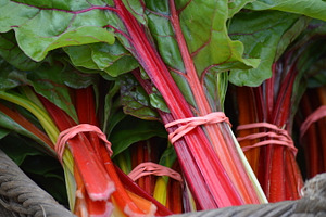 Swiss Chard, a Food & Drink Photo by Bronwyn Voth