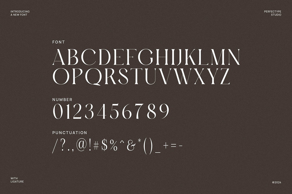 Mirado - Classic Serif Font, a Serif Font by Luna Shop (Photo 2 of 6)
