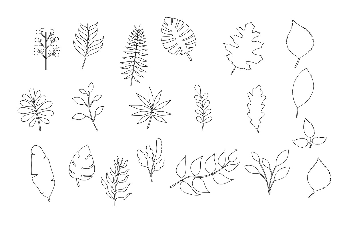 leaves outline icons set, an Outline Icon by nicollr's store (Photo 1 of 3)
