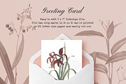Les liliacees Flowers, an Illustration by Cody Dennison (Thumbnail 5 of 5)