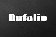 Bufalio Modern Bold Font, a Sans Serif Font by AuthenType (Thumbnail 1 of 10)