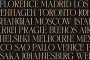 Terquiny - Modern Luxury Serif, a Serif Font by Shapespired Design (Thumbnail 14 of 17)
