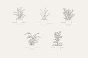 House Plant-Vector Illustration Pack, an Illustration by Lovendear Design (Thumbnail 4 of 9)