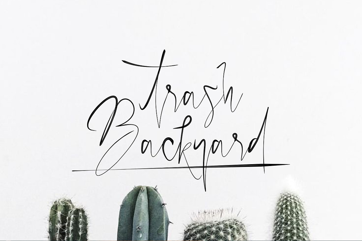 Papies Script Font preview 5