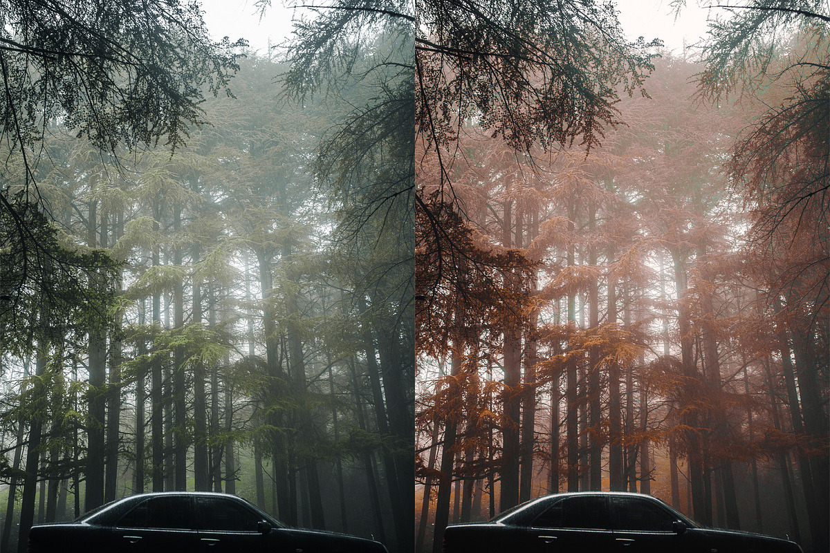 Fall - Autmun Photoshop Actions, an Action Add-On by Bato (Photo 3 of 10)