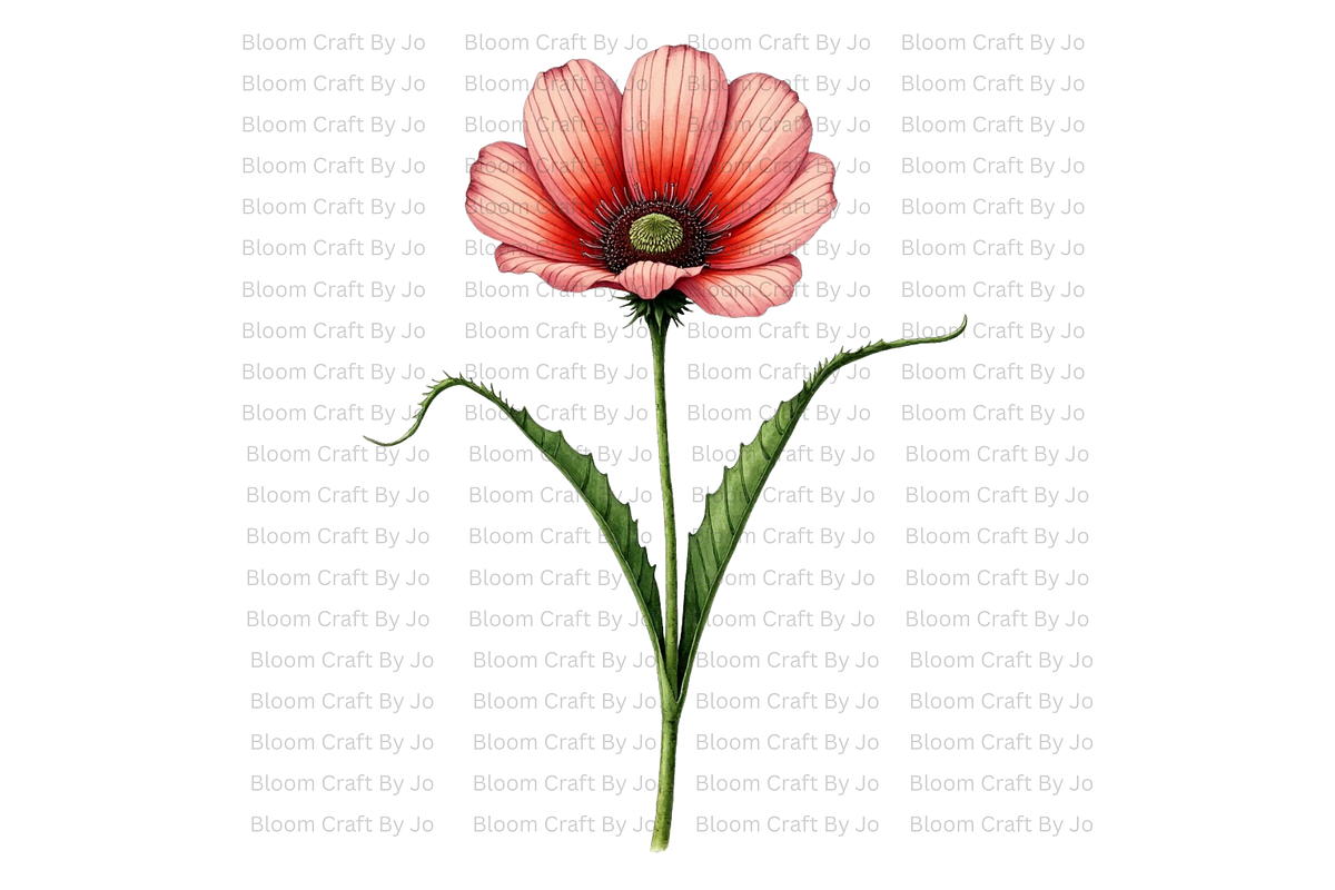Hemlock Seed Pod, a Decorative Illustration by Bloom Craft Creations (Photo 1 of 13)