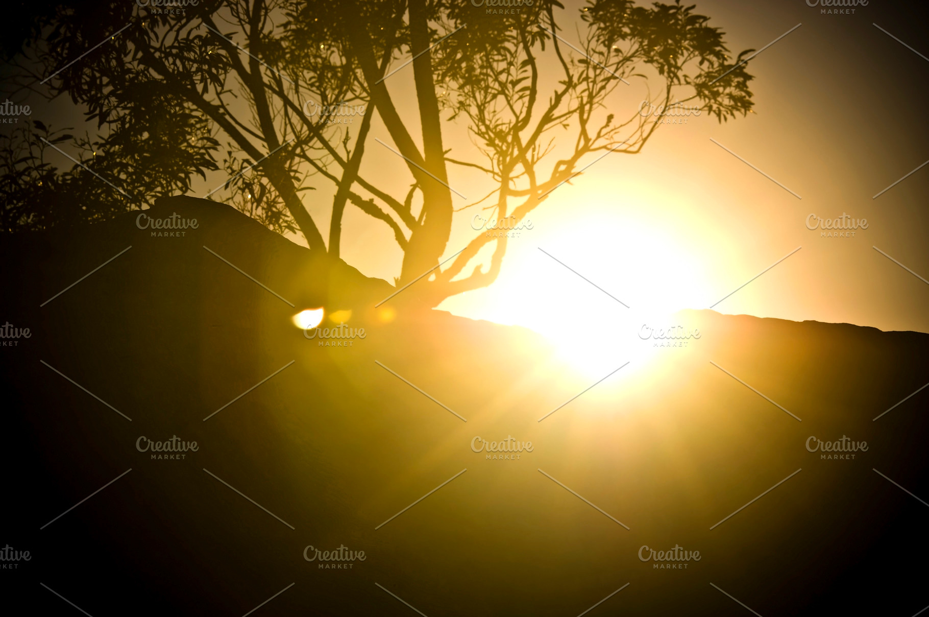 Sunset Flare, a Nature Photo by THP Creative