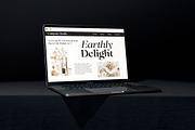 Perfect Challenge Serif Family, a Serif Font by Mulkan Nazir (Thumbnail 9 of 22)