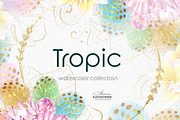 Tropic protea, watercolor clip art, a Seasonal Illustration by katmonne (Thumbnail 9 of 9)