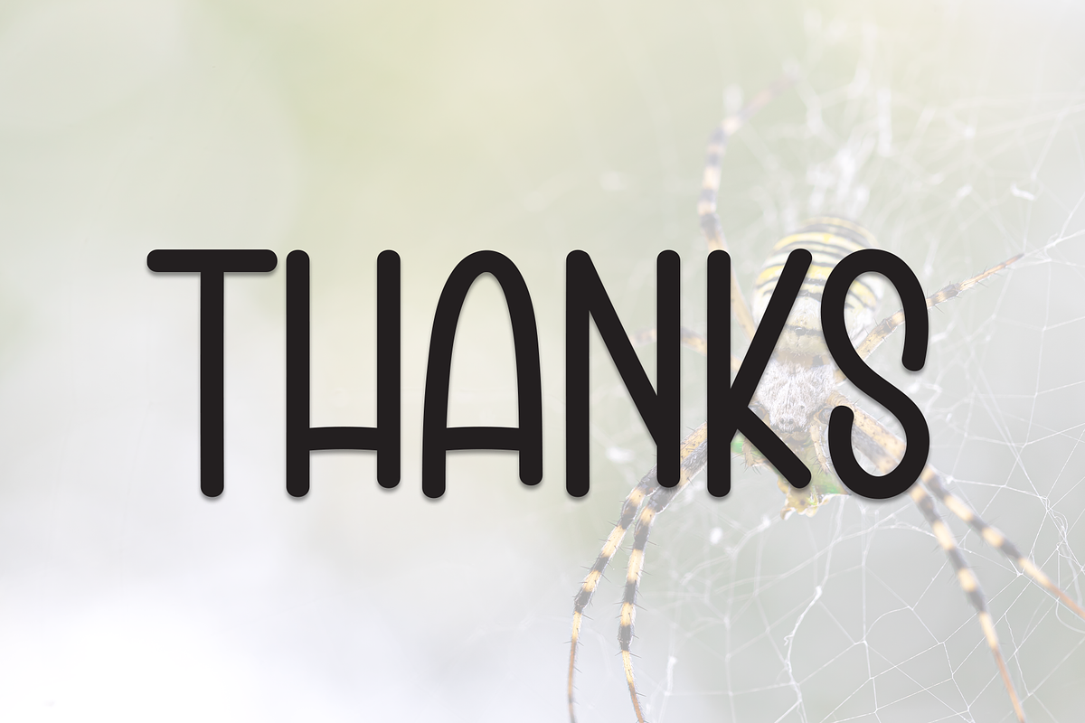 Tricky Spider | Script Font, a Script Font by Scratchones (Photo 8 of 8)