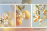 Mediterranean Blur lemon backgrounds, a Background Graphic by 60secondsArt (Thumbnail 3 of 14)