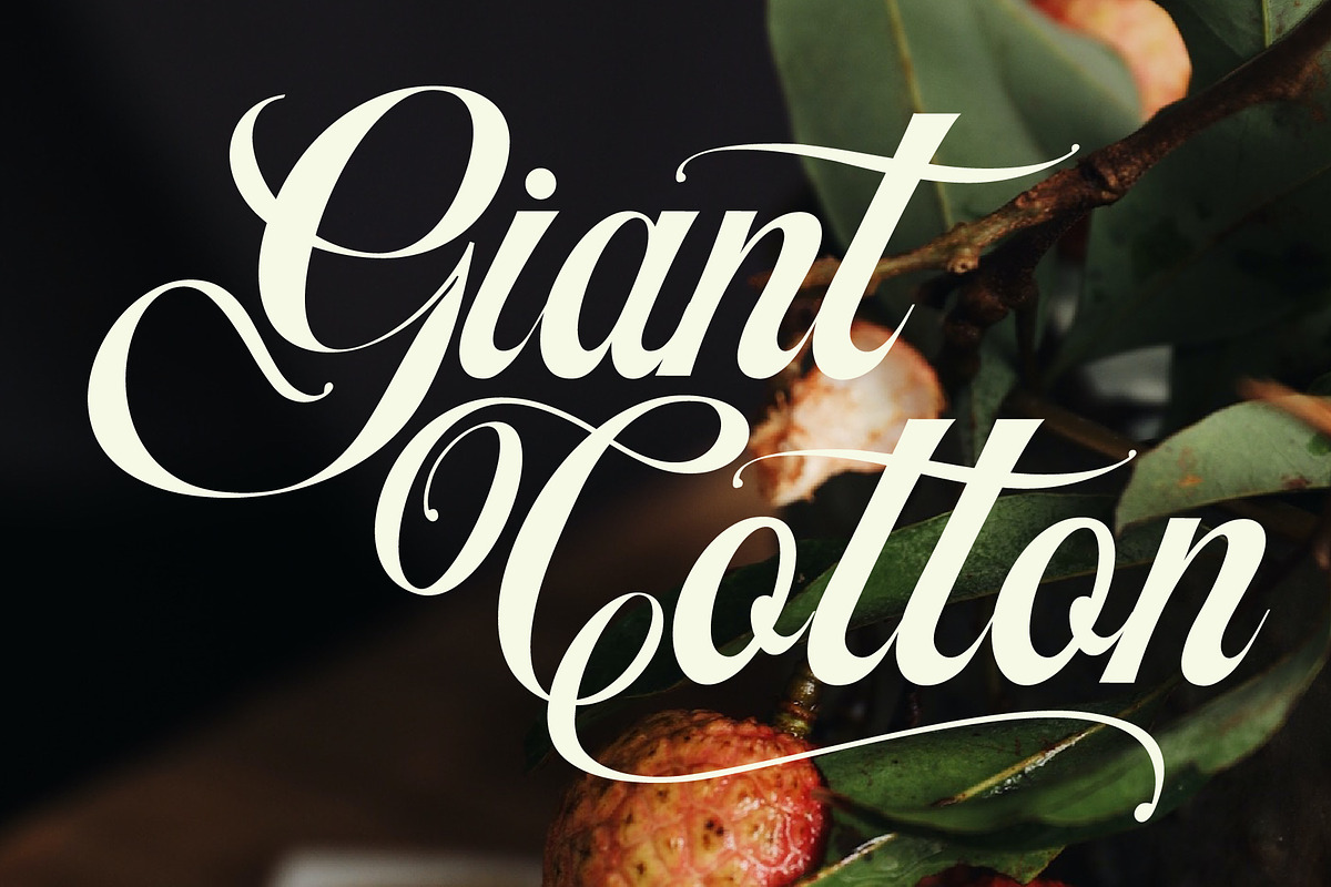 Artheria Classic Script, a Script Font by Fortunes Co (Photo 4 of 13)