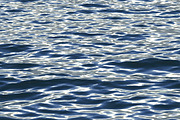 Animated Blue Ocean Waves 3D Model, an Object 3D Model by rebrandy (Thumbnail 1 of 7)