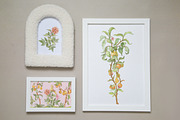 Watercolor plants Graphics patterns, a Pattern Graphic by TanyaSchuka (Thumbnail 11 of 12)