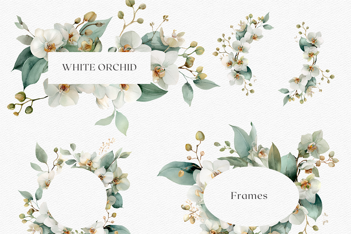 White Orchid Watercolor Clipart, a Decorative Illustration by ThaismotaCreativeCo (Photo 7 of 12)