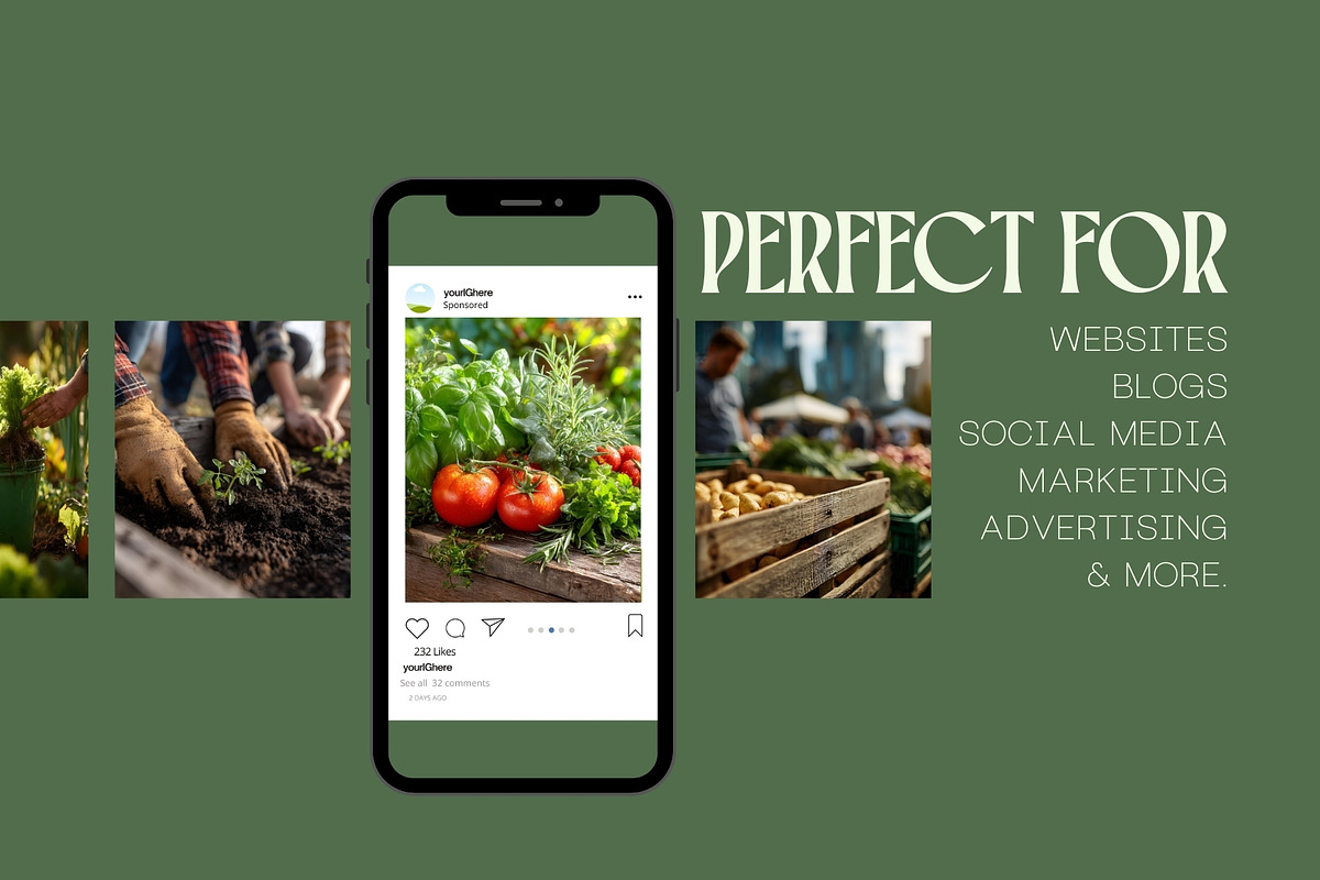 90 Community Garden Stock Photos, a Nature Photo by Incomelion (Photo 3 of 17)