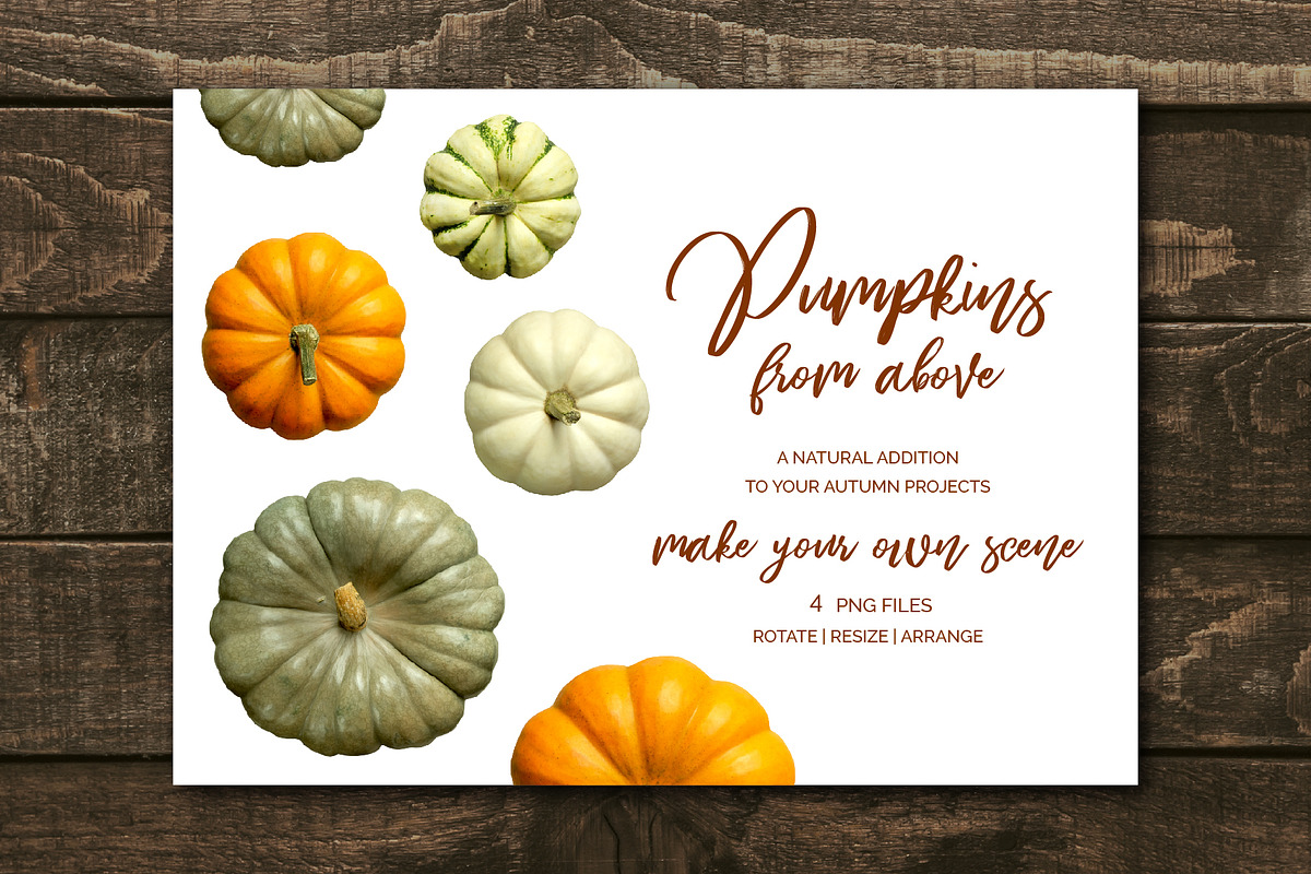 Pumpkins - Realistic Top View MockUp, an Object Graphic by Turning Moss (Photo 2 of 2)