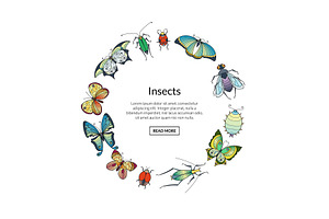 Vector Hand Drawn Insects In Circle