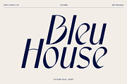 CS Fiore – Art Nouveau Font, a Sans Serif Font by Craft Supply Co. (Thumbnail 2 of 8)