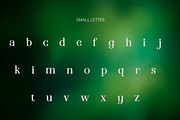 Qaeris Minimal Luxury Serif Typeface, a Serif Font by AN Productions (Thumbnail 4 of 7)