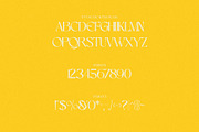 Perennial - Elegant & Ligature Sans, a Sans Serif Font by Mikhail Kitsune (Thumbnail 7 of 9)