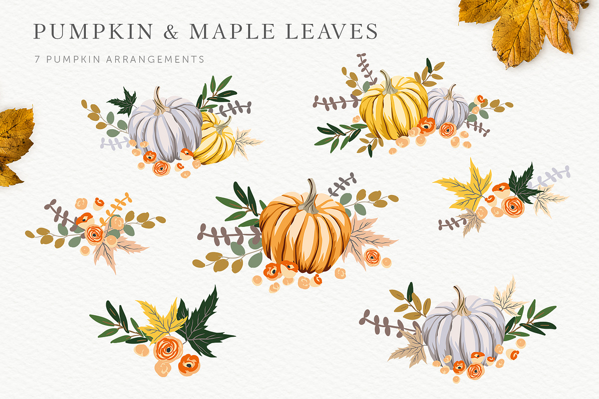 Pumpkin & Maple leaves, an Illustration by OJardin (Photo 3 of 5)